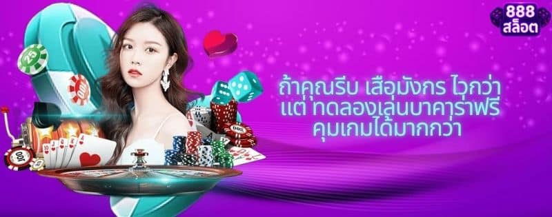 ทดลองเล่นบาคาร่าฟรี กับ เสือมังกร เกมไหนจบไว ได้เงินเร็วกว่า?